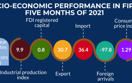 Infographic: Socio-economic performance in first five months of 2021